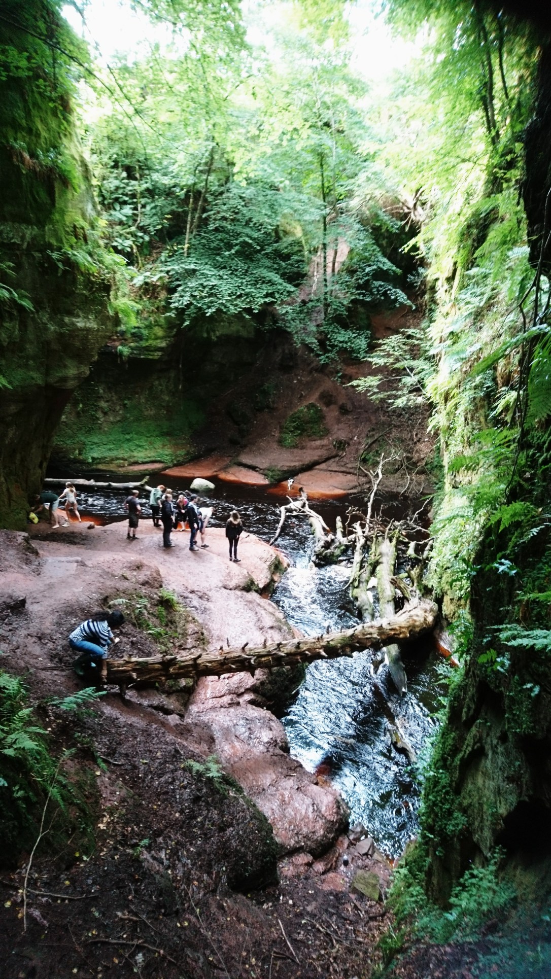 _20181028_022229 (1)